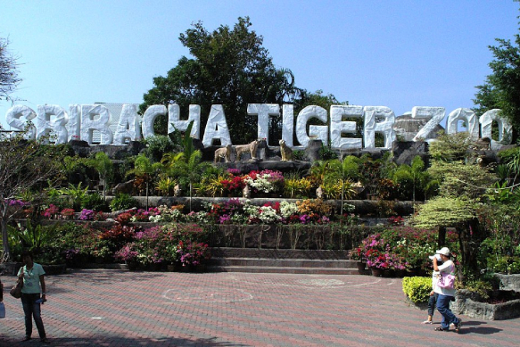 Tiger park